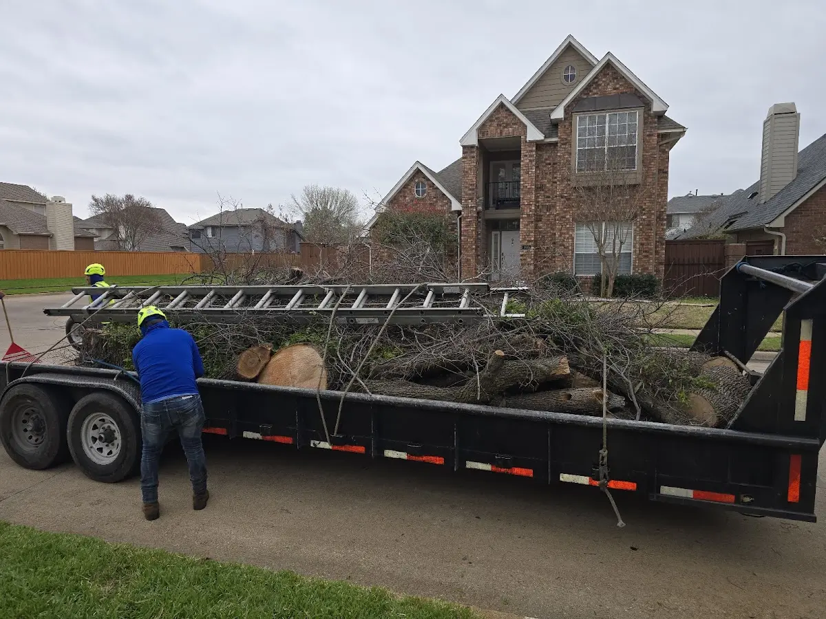 Expert Tree Fertilization with proper safety equipment in Wrightstown
